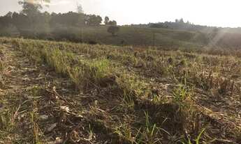 Imagem 15: Terreno para venda com localização e vista privilegiados em Atibaia! 500m² e maiores