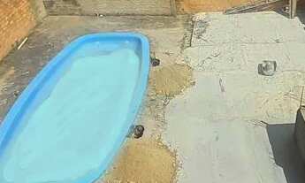 Imagem 5: Alugo ap 2 dormitórios