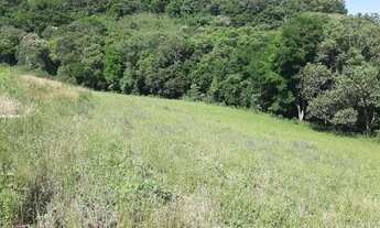 Imagem 3: Vendo Excelente Fazenda em Mirandiba - PE