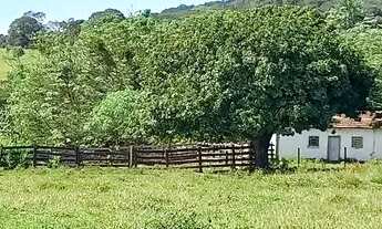 Imagem: Fazenda 20 Alqueires Campestre/ Go