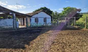 Imagem 3: 2453 - Excelente Fazenda de 155 HA em Itauna MG