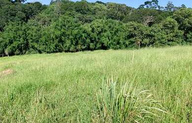 Imagem 2: Lf-Vendo terreno para sua tranquilidade e lazer