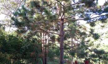 Imagem 7: CASA EM CONDOMÍNIO CERRO AZUL! DOMINGOS MARTINS COM 4 QUARTOS