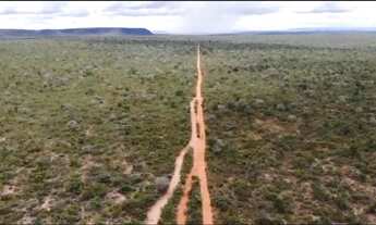 Imagem: Fazenda em Alto Parnaiba-MA. 21mil