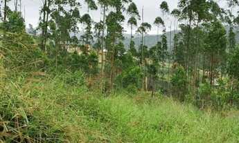 Imagem 5: Terrenos e chácaras no Interior liberado pra construir Cd. KAH