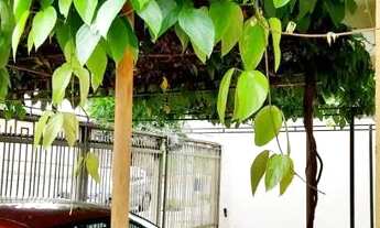 Imagem 3: Aluguel de apartamento no Jardim América - 3 Quartos (1 suite) - 96 m² - ao lado da T-9