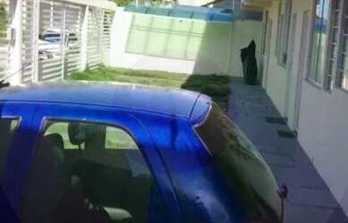 Imagem 4: Casa para aluguel na Barra dos Coqueiros