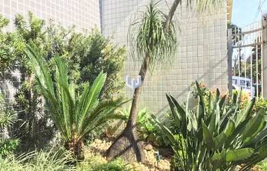 Imagem 2: VOLTA REDONDA - Apartamento Padrão - Aterrado