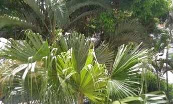 Imagem 4: Apartamento em Moema pássaros, com 3 dormitórios, 1 vaga