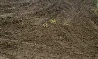 Imagem: Chácara para Venda, 26 de Setembro