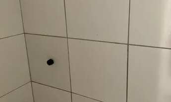 Imagem: Quitinete kitinete kit suíte quarto