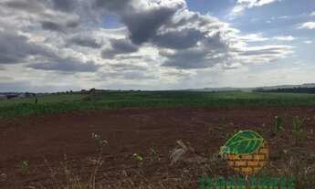 Imagem 2: Chácara à venda 1 Quarto, 774400M², Vila Ipiranga, Londrina - PR