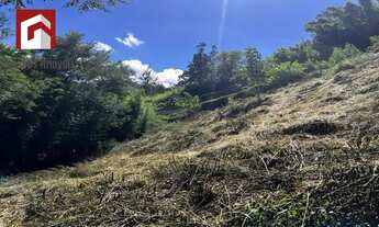 Imagem 7: Petrópolis - Terreno Padrão - Itaipava