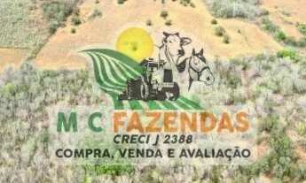 Imagem 7: Fazenda à Venda em Jeremoabo | Potencial p/ Agricultura e Pecuária