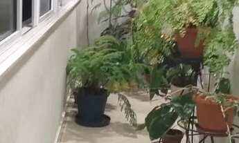 Imagem 2: Flamengo Apartamento com 4 dormitórios