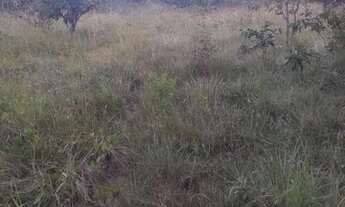 Imagem 4: Fazenda Goiás São João da Aliança