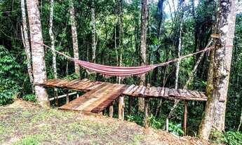 Imagem 6: Lindo Sítio no Sertão de Bananal-SP. Sertão da Onça. com água de mina