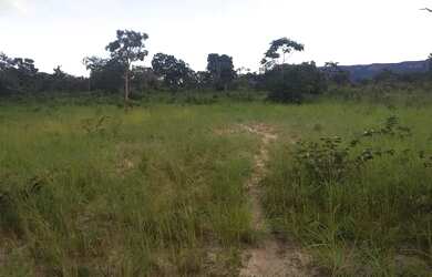 Imagem 5: Fazenda Goiás São João da Aliança