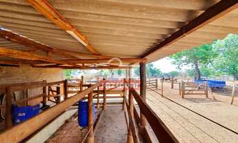 Imagem 6: Área 6,64 alqueires (32,13 hectares) Goiânia - Go