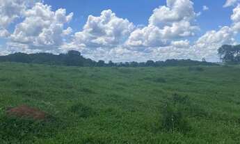 Imagem 6: Fazenda a venda em Pontalina Goiás!!!