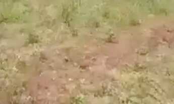 Imagem 4: Preciso vender pra hoje!