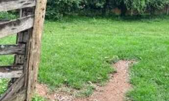 Imagem: Ótima chácara