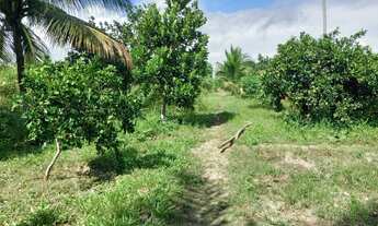 Imagem 4: Sitio Chácara com venda por R$190.000