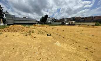 Imagem 3: Terreno comercial na Av Tefé 13.000m²