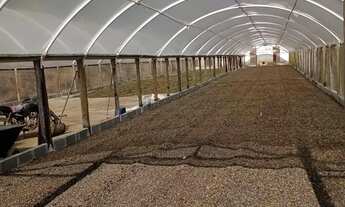 Imagem 6: Venda-se está propriedade de 19,5 no Município de Vargem Alta/ES