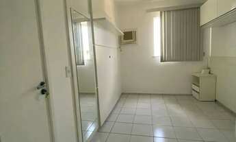 Imagem: Palmeiras III