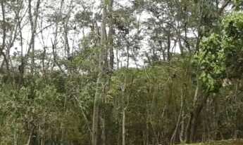 Imagem: LOTE NA RESERVA IBIRAPITANGA COM VISTA PARA