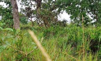 Imagem 4: Fazenda 158 hectares valor 1.120.000