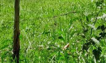 Imagem 5: Terreno em Local Tranquilo bairro Tiradentes