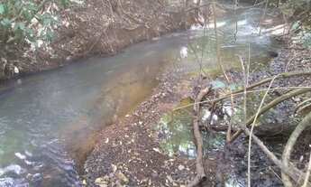 Imagem 5: VENDA/TROCA TERRENO COM 4 HECTARES, BEIRA RIO!!