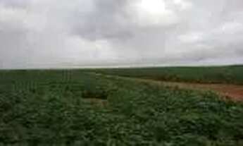 Imagem 4: Fazenda c/ 720he, sendo 500he em lavoura, Município de Rondonópolis-MT