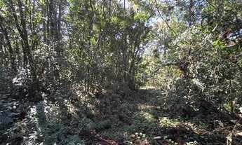 Imagem 4: Chácara com 2 Dormitorio(s) localizado(a) no bairro Fazenda Souza em Caxias do Sul / Ref.