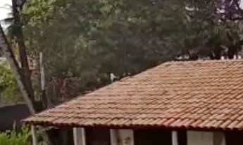 Imagem 7: Massagueira RGI VENDO aceito OFERTA