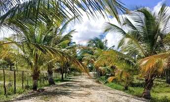 Imagem 2: Chácara em Piaçabuçu a venda