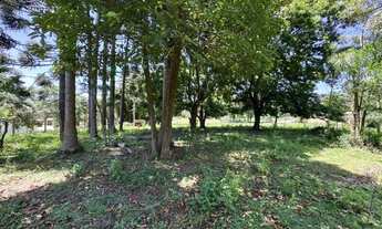 Imagem 3: OPORTUNIDADE-100% PLANA - ASFALTADA