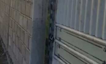 Imagem 4: Sítio Na Região da Matinha( oportunidade