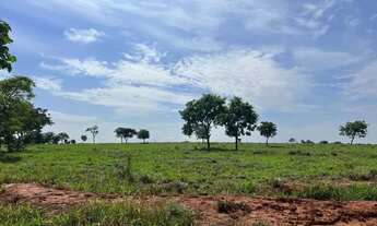 Imagem 15: Fazenda em Zona Rural - Montes Claros de Goiás