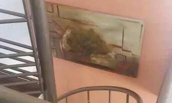 Imagem 3: Apartamento em Rua Vicenzo Paciullo - Picanço - Guarulhos/SP