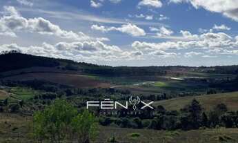 Imagem: Aqui ele encontra o lugar ideal