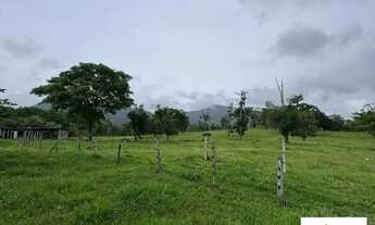 Imagem 7: Áreas à venda em rua pública, CENTRO, Coaraci, BA