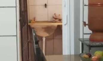 Imagem 7: Casa em Paripe, térreo sala dois quartos sendo uma suíte,cozinha banheiro área de serviço