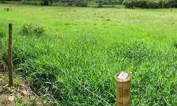 Imagem 6: Fazendinha /15 alqueires/Cordeiro-RJ