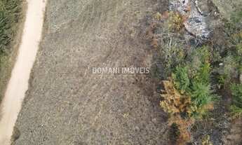 Imagem 5: Maravilhoso Lote de Terreno à Venda na Região de Descansópolis - Campos do Jordão/SP