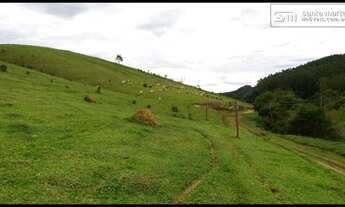 Imagem 3: FAZENDA BAIXA/MEDIA - LEITE/CORTE  FRENTE AO ASFALTO  SILVEIRAS - SP