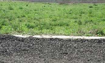 Imagem 7: Lote/Terreno para venda possui 264 metros quadrados em Zona Rural - Sairé - PE