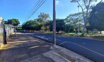 Imagem 5: Avenida Jose Munia